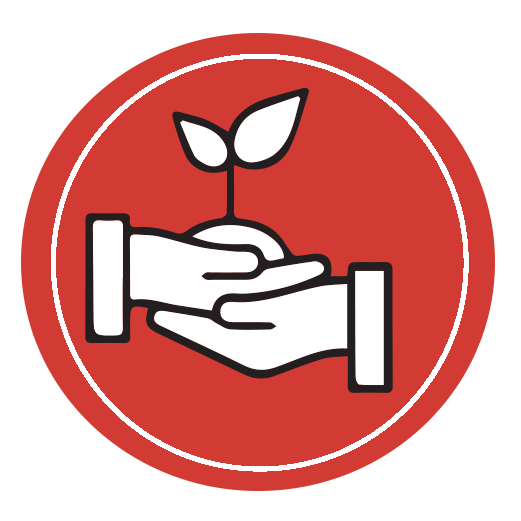 Build a Saving Culture